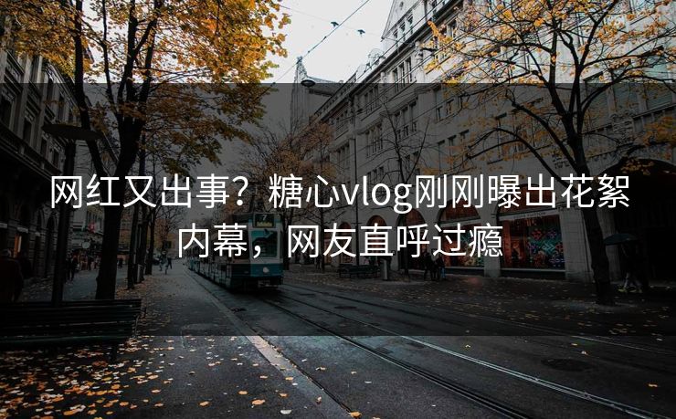 网红又出事？糖心vlog刚刚曝出花絮内幕，网友直呼过瘾