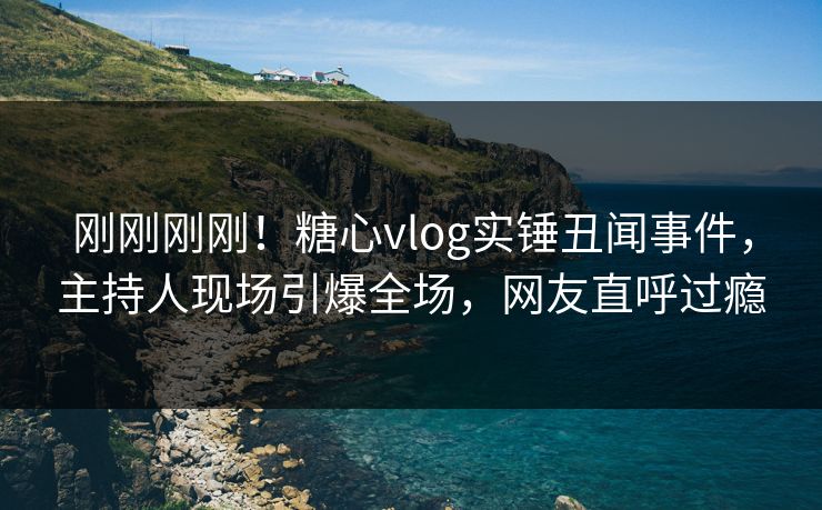 刚刚刚刚！糖心vlog实锤丑闻事件，主持人现场引爆全场，网友直呼过瘾