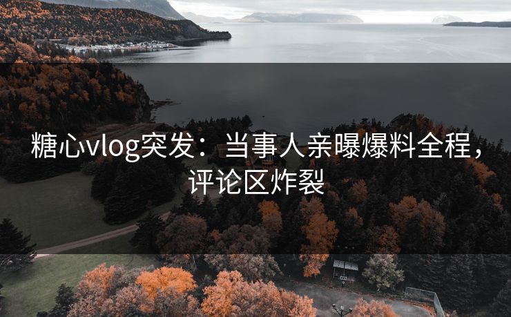 糖心vlog突发：当事人亲曝爆料全程，评论区炸裂