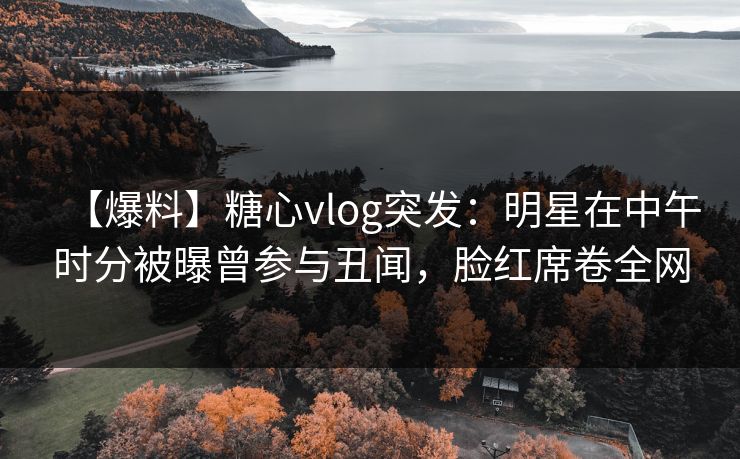 【爆料】糖心vlog突发：明星在中午时分被曝曾参与丑闻，脸红席卷全网
