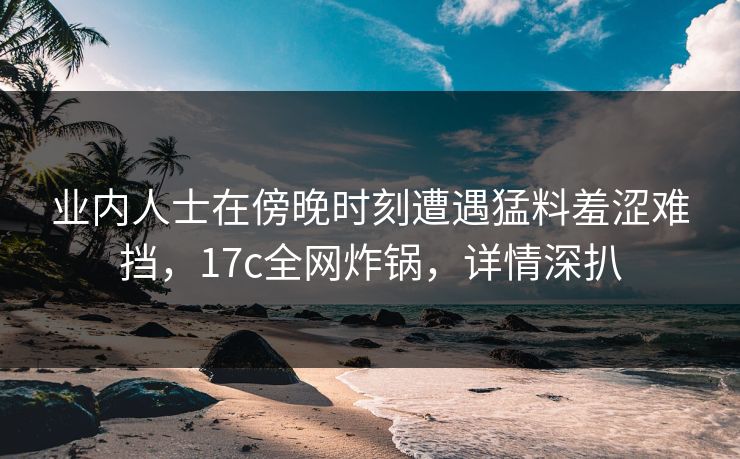 业内人士在傍晚时刻遭遇猛料羞涩难挡，17c全网炸锅，详情深扒