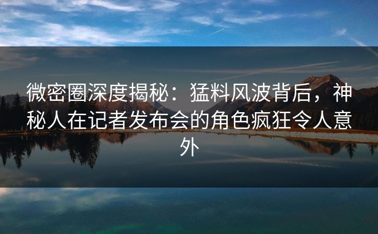 微密圈深度揭秘：猛料风波背后，神秘人在记者发布会的角色疯狂令人意外