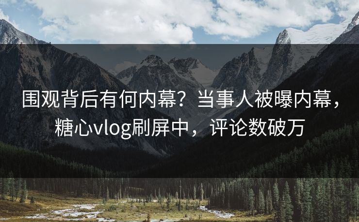 围观背后有何内幕？当事人被曝内幕，糖心vlog刷屏中，评论数破万