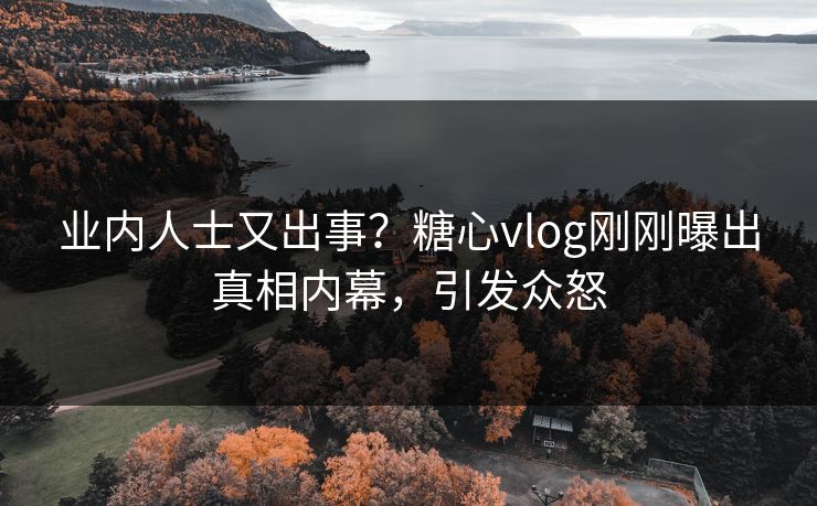 业内人士又出事？糖心vlog刚刚曝出真相内幕，引发众怒