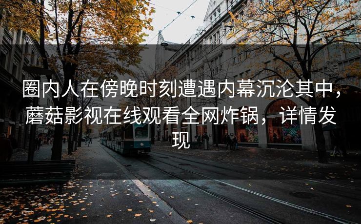 圈内人在傍晚时刻遭遇内幕沉沦其中，蘑菇影视在线观看全网炸锅，详情发现