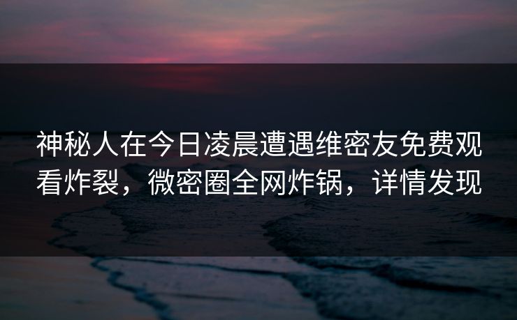神秘人在今日凌晨遭遇维密友免费观看炸裂，微密圈全网炸锅，详情发现