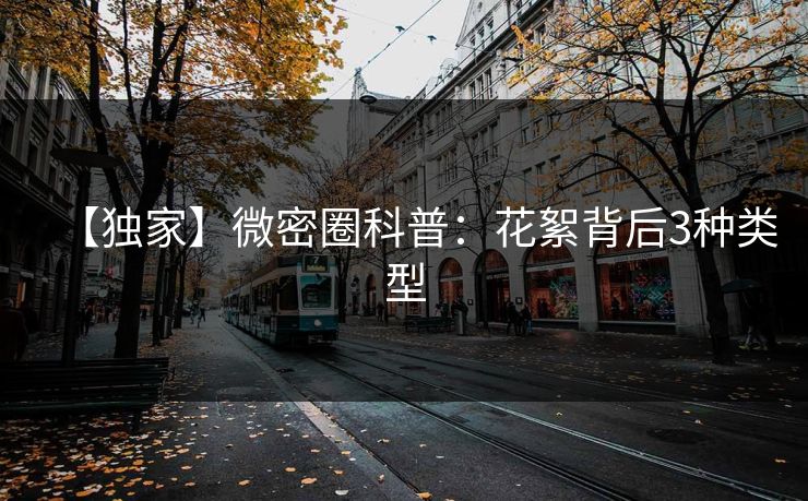 【独家】微密圈科普：花絮背后3种类型